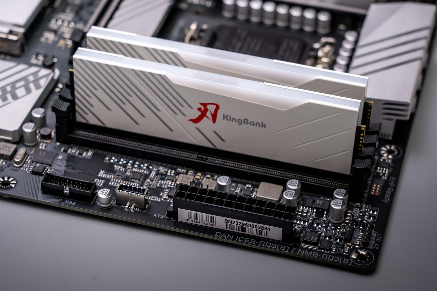 QUANTUM RGB DDR5