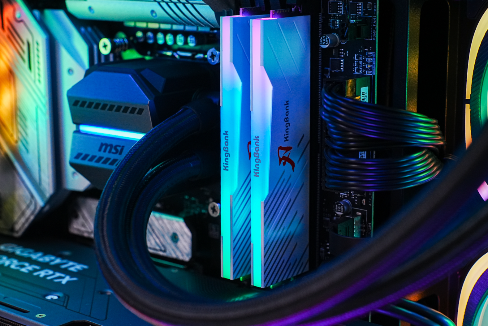 QUANTUM RGB DDR5